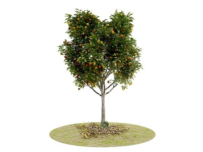 3d现代果树模型