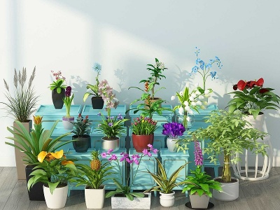 现代植物盆栽模型