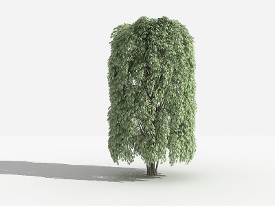 3d垂叶榕柱灌木树模型