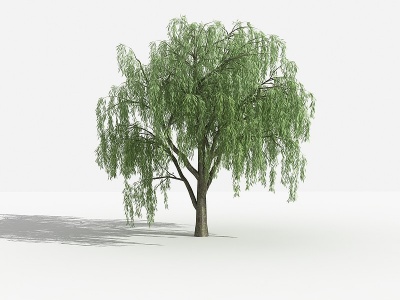 3d垂柳灌木树植物模型