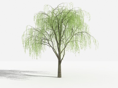 垂柳灌木树模型3d模型