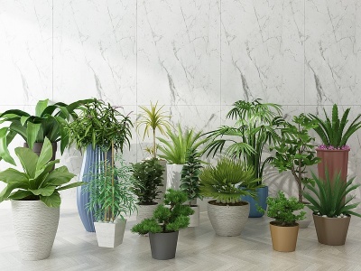 3d现代绿植盆栽模型
