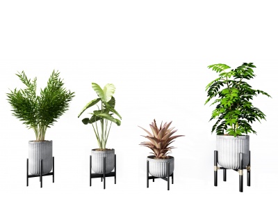 3d现代植物<font class='myIsRed'>盆栽组合</font>模型