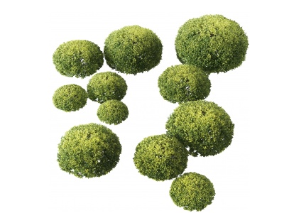 3d现代球形灌木绿篱模型