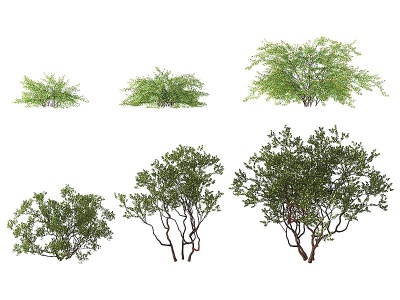 3d<font class='myIsRed'>现代绿植灌木</font>模型