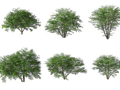 3d现代绿植灌木模型