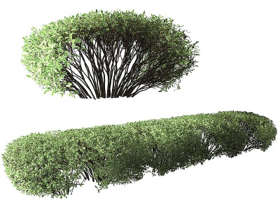 3d现代绿篱灌木模型