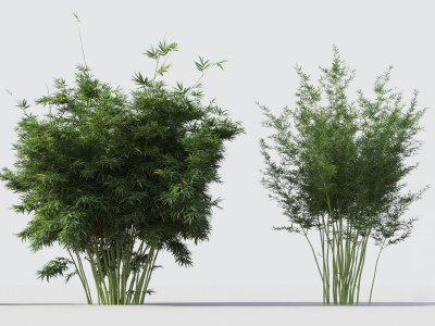 现代绿植竹子组合模型