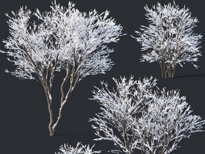 现代植物雪树灌木冬天树模型3d模型