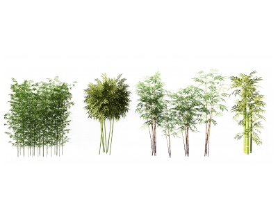 3d新中式竹子组合模型