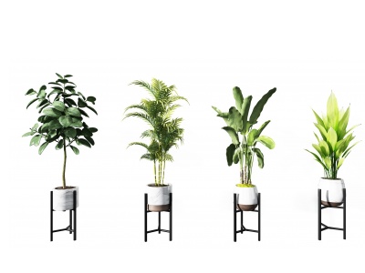3d现代绿植盆栽组合模型