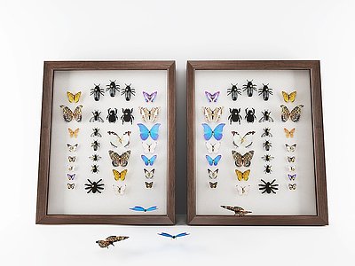 现代蝴蝶昆虫标本挂件模型3d模型