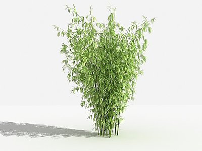 中式竹子灌木树植物模型