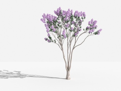 3d中式紫薇紫灌木树植物模型