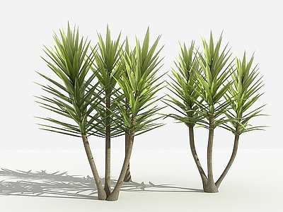 中式荷兰铁灌木树植物模型