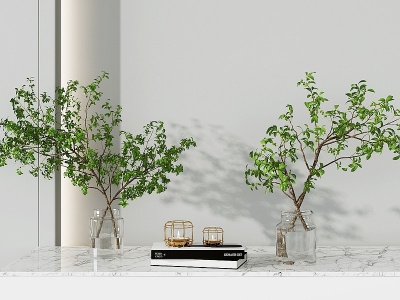 3d现代水生植物模型