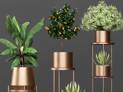 现代植物架绿植盆栽模型3d模型