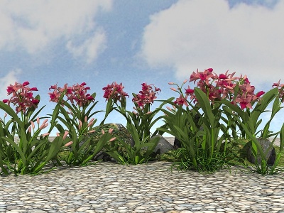 3d精品<font class='myIsRed'>景观</font>开花植物模型