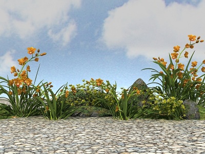 精品景观开花植物模型