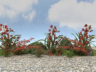 3d精品<font class='myIsRed'>景观</font>开花植物模型