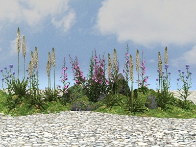 精品景观植物模型
