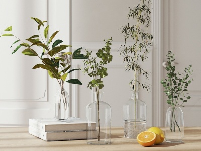3d水生植物玻璃花瓶摆件模型
