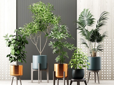 3d现代绿植盆栽模型