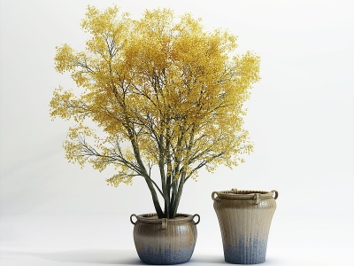 现代陶罐盆栽模型3d模型