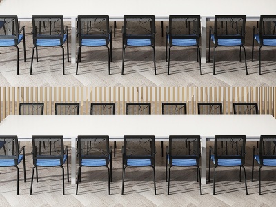 3d现代大会议桌椅模型