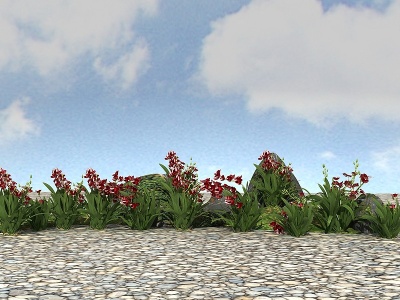 精品景观开花植物模型