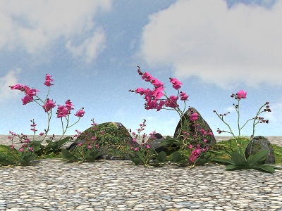3d精品景观<font class='myIsRed'>开花</font>植物模型