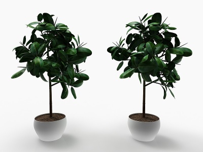 现代风格植物3d模型