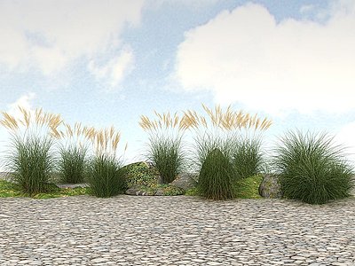 3d精品景观开花植物花草模型