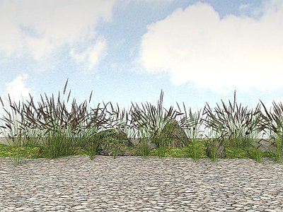 精品景观开花植物花草3d模型
