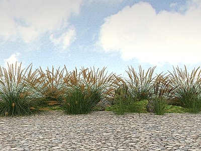 精品景观开花植物花草模型3d模型