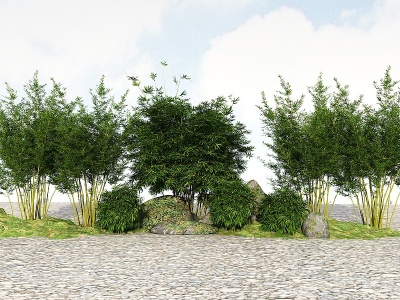 3d精品景观竹子植物模型