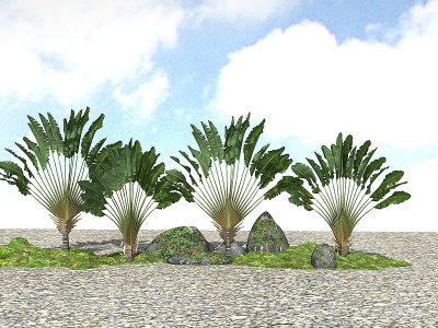 精品景观植物3d模型
