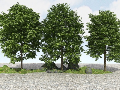 精品景观植物模型3d模型