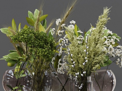 现代玻璃花瓶植物模型