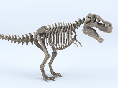 现代恐龙骨架模型3d模型