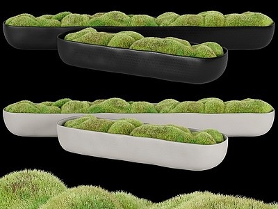 3d苔藓盆栽模型