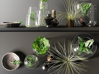 3d玻璃瓶植物绿植摆件模型