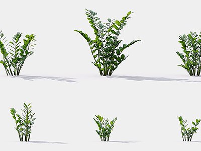 3d现代花草植物草丛花坛绿植模型