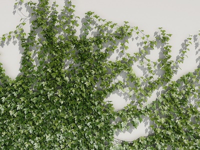 爬山虎藤蔓植物绿植墙模型3d模型