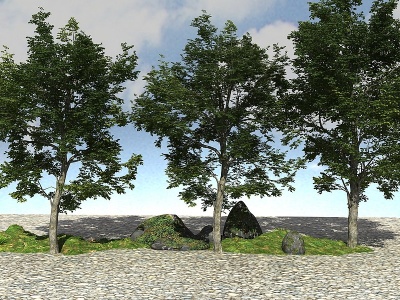 景观大树植物3d模型
