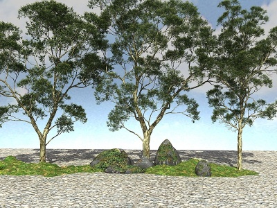 3d景观大树植物模型