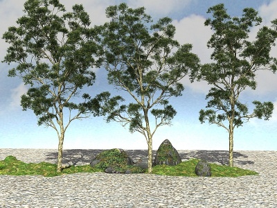 景观大树植物3d模型