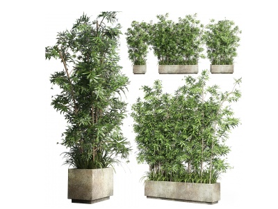 现代盆栽植物模型3d模型