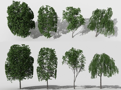 3d现代景观树行道树模型