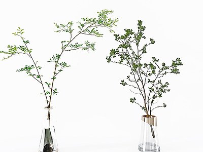 现代植物绿植盆栽模型3d模型